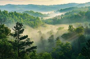 enevoado manhã sobre verdejante arborizado colinas às nascer do sol foto