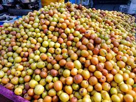 ziziphus maurícia, Além disso conhecido Como ber, chinês maçã, jujuba, indiano ameixa e Masau é uma tropical fruta árvore espécies pertencer para a família ramnáceas. foto