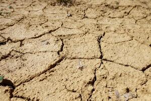 seco terra. clima mudar. forte seca. global aquecimento. de Meio Ambiente desastre. foto