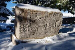 stecci medieval lápides cemitérios risovac dentro blidinje, bih. unesco local. histórico Lugar, colocar do interesse. a lápides característica uma Largo alcance do decorativo motivos e inscrições. foto