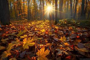 foto do uma conto de fadas panorama com luz solar transmissão através a floresta