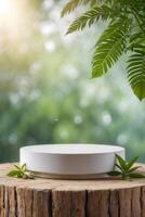 luxuoso plataforma e pódio fundo em natureza e monstera folhas para produtos ficar de pé exibição publicidade Cosmético beleza produtos ou cuidados com a pele com esvaziar volta etapa foto