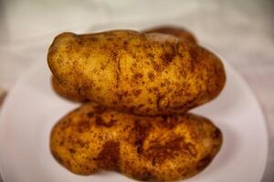 três russet batatas foto