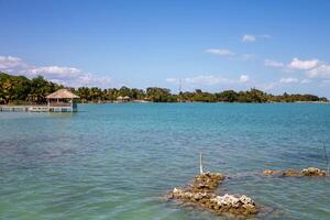 âmbar gris caye foto