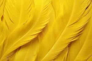 amarelo penas fundo, amarelo penas padrão, penas fundo, penas papel de parede, pássaro penas padrão, foto