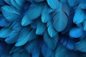 azul penas fundo, azul penas padrão, penas fundo, penas papel de parede, pássaro penas padrão, foto