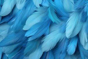 azul penas fundo, azul penas padrão, penas fundo, penas papel de parede, pássaro penas padrão, foto