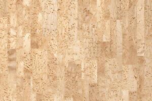 comprimido madeira partícula borda textura fundo, comprimido madeira textura, de madeira borda textura, madeira textura fundo, foto