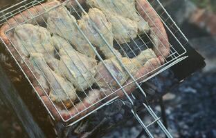 shish kebabs de asas de frango são fritos no campo. um churrasco clássico ao ar livre. o processo de fritar carne no carvão foto