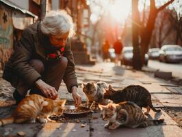 idosos mulheres fornecendo nutrição para disperso gatos, ilustrando empatia e companhia no meio solidão foto