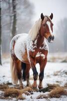 uma cavalo é em pé dentro a neve foto