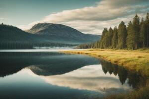 uma lago cercado de árvores e Relva foto