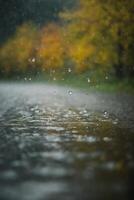 pingos de chuva em a terra dentro uma poça foto