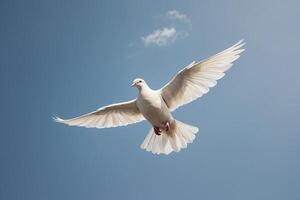 uma branco pomba vôo dentro a azul céu foto