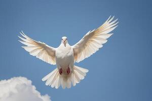 uma branco pomba vôo dentro a céu foto