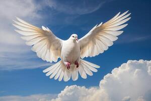 uma branco pomba vôo dentro a céu foto