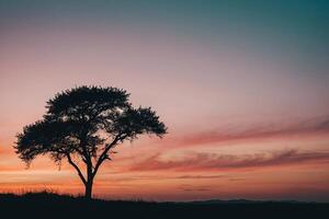 uma solitário árvore carrinhos dentro a meio do uma campo às pôr do sol foto