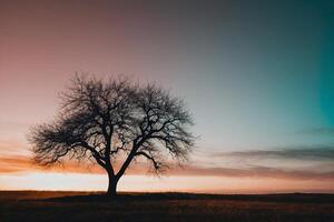 uma solitário árvore dentro uma campo às pôr do sol foto