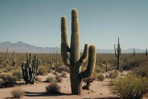 uma cacto plantar é mostrando dentro uma deserto meio Ambiente foto