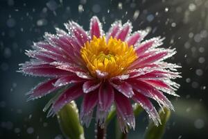 flor é dentro a chuva com gotas do água foto