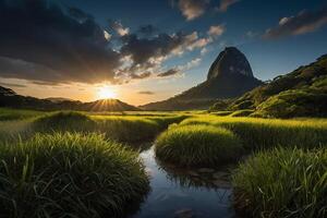 a Sol sobe sobre a montanhas dentro a floresta tropical foto