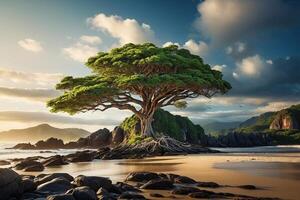 uma árvore em uma rochoso de praia com pedras e água foto