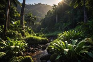 uma corrente corre através uma exuberante selva foto