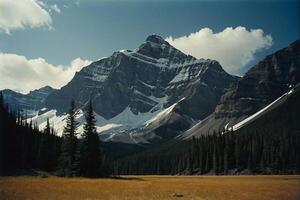 uma montanha alcance com árvores e montanhas dentro a fundo foto