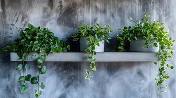 exuberante verde em vaso plantas decorativamente exibido em cinzento concreto parede estante foto