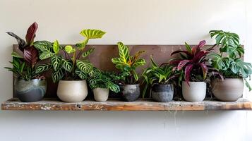 vibrante interior plantar estante com sortido em vaso vegetação para acolhedor e calmante casa decoração foto