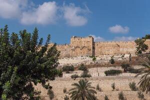 Visão do a dourado portão ou portão do misericórdia em a zona leste do a têmpora montar do a velho cidade do Jerusalém, Israel. seletivo foco foto