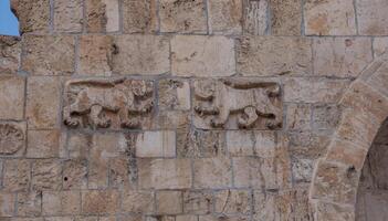 Israel, Jerusalém, velho cidade, leão portão. decoração em a pedra parede perto a Entrada foto