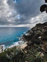 oceano dentro Calabria com plantas e falésias foto
