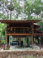 homestay de madeira casa relaxar dentro Tailândia viagem foto