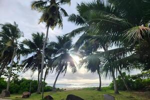 arte lindo pôr do sol sobre a tropical de praia foto