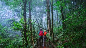 amante homem asiático e mulheres asiáticas viajam pela natureza. estudo da natureza na floresta tropical em chiangmai, na tailândia. foto