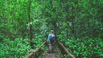 ásia homem viagem natureza. levar uma cenário natureza estude dentro a selva às chiangmai dentro tailândia. foto