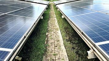exibição do solar painéis dentro a tarde para Indonésia ir verde foto