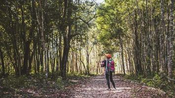 mulheres asiáticas do fotógrafo viajando natureza da fotografia. viajar relaxar na caminhada de férias na floresta. viajar relaxar no feriado. Tailândia foto