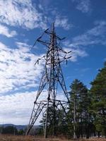 linhas de alta tensão elétrica e torre passando pela floresta. foto