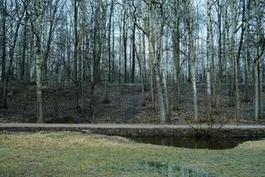 vista do campo de planície para a colina com árvores na floresta de primavera ao ar livre foto