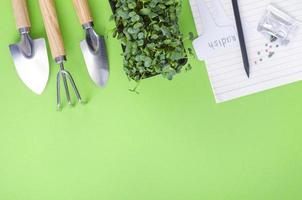 preparação da primavera e planejamento para a semeadura de hortaliças. sementes de vegetais em envelopes de papel artesanal. trabalho sazonal de jardim foto