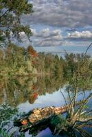 krickenbecker visto natureza reserva, inferior Rhine região fechar para nettetal, norte Rhine Vestfália, Alemanha foto