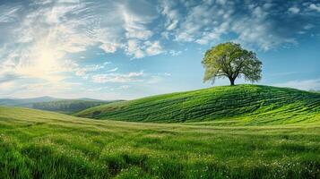 lindo panorama com verde Relva campo foto