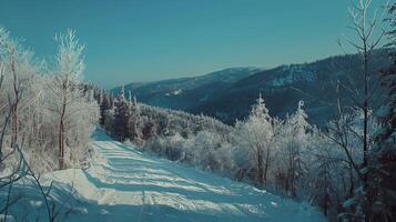 lindo inverno natureza panorama surpreendente montanha foto