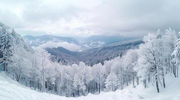 lindo inverno natureza panorama surpreendente montanha foto