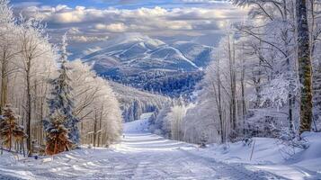 lindo inverno natureza panorama surpreendente montanha foto