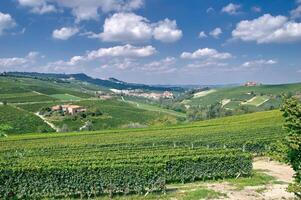 Vinhedo panorama fechar para asti dentro Piemonte, Itália foto