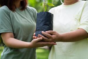 velho ásia mulheres e filha Junte-se Como voluntários para reflorestamento, terra conservação Atividades para reduzir global aquecimento crescimento característica e levar Cuidado natureza terra. meio Ambiente conceito foto