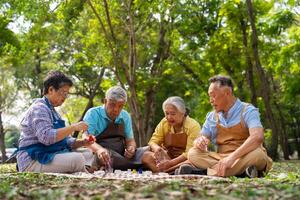 uma grupo do ásia Senior pessoas apreciar pintura cacto panelas e recreativo atividade ou terapia ao ar livre juntos às a idosos cuidados de saúde Centro, estilo de vida conceitos sobre antiguidade foto